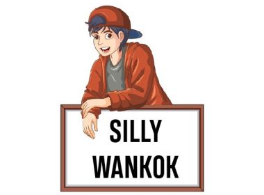 silly wankok